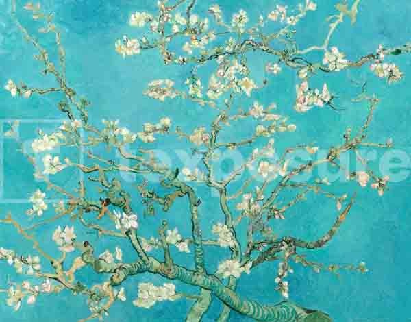 Lage resolutie foto met watermerk