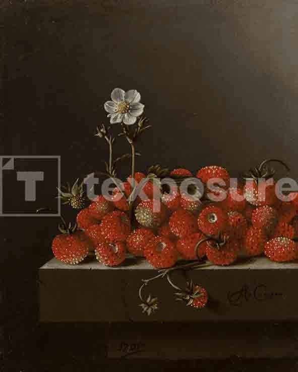 Lage resolutie foto met watermerk