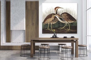 Interieur foto