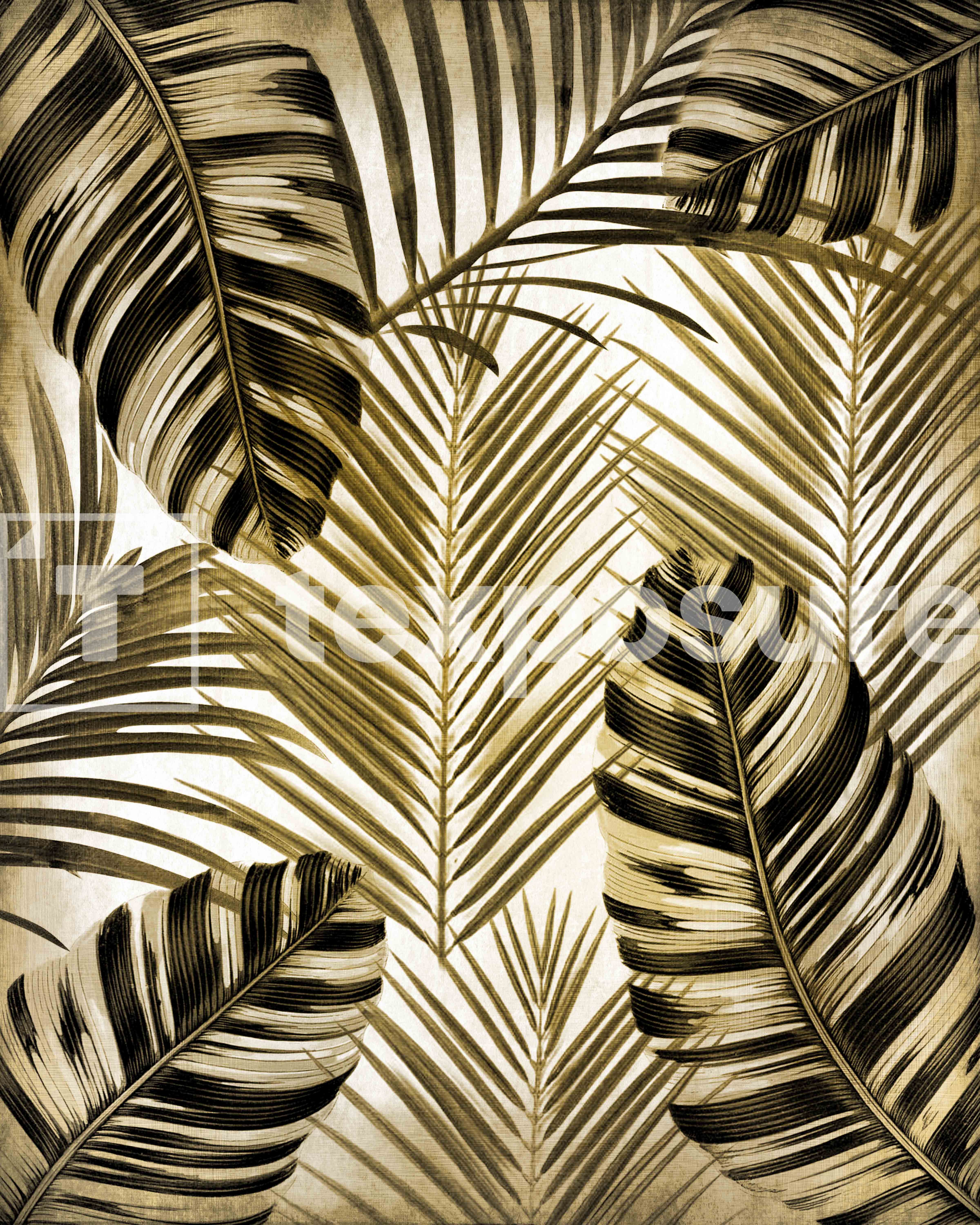 Lage resolutie foto met watermerk